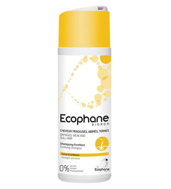 Shield Conditioner