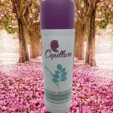 Shield Conditioner